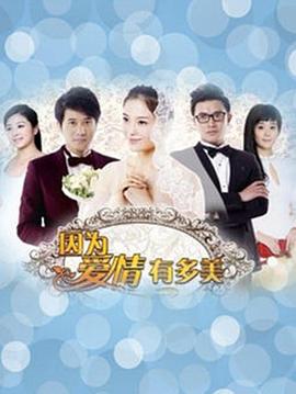 因為愛情有多美DVD