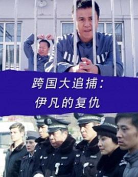 跨國大追捕：伊凡的復(fù)仇