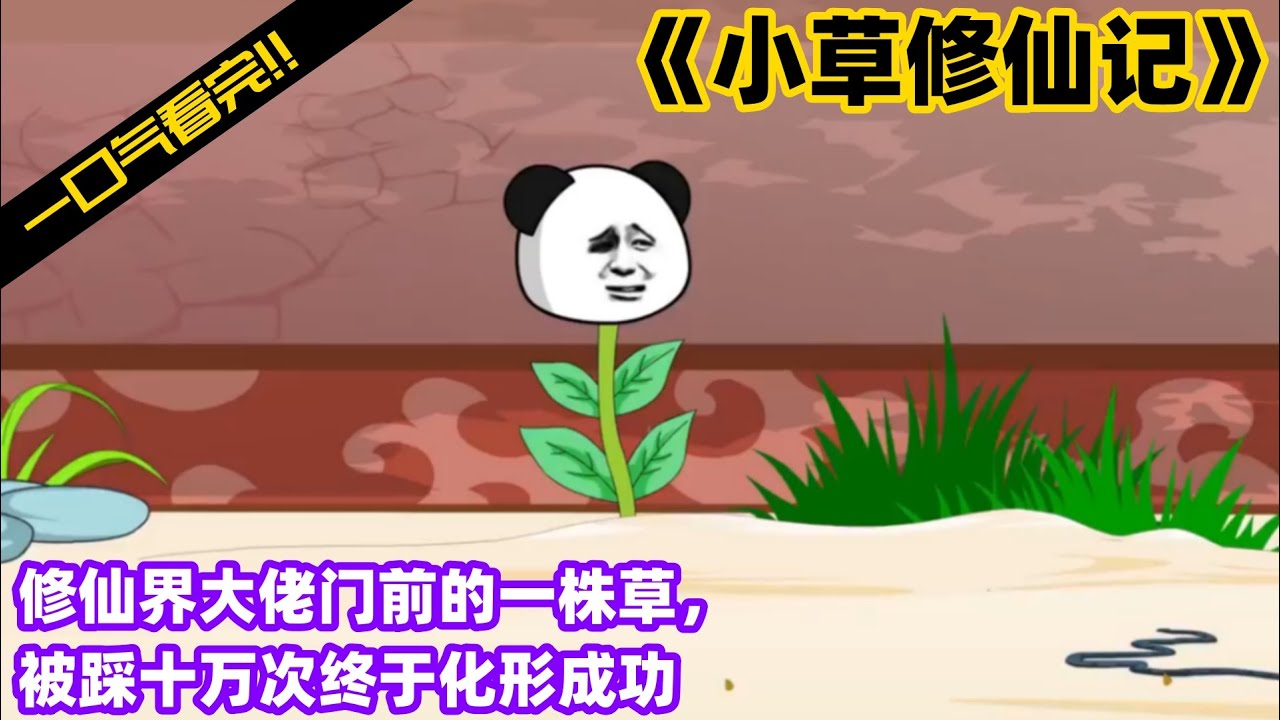 小草修仙記