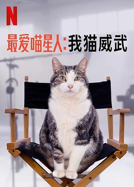 最爱喵星人我猫威武