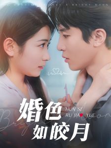 婚色如皎月封面图
