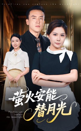 莹火安能替月光高清海报