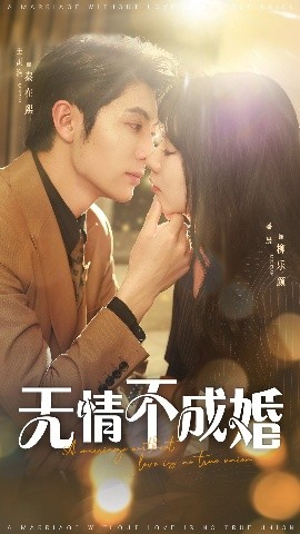 无情不成婚高清海报