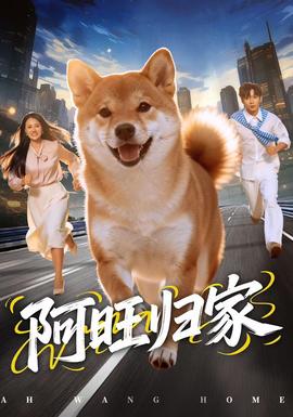 阿旺归家海报